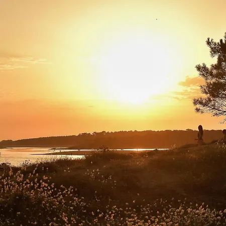 Le Clos De La Guittiere - 6 Personnes بيت للعطل Saint-Hilaire-de-Talmont