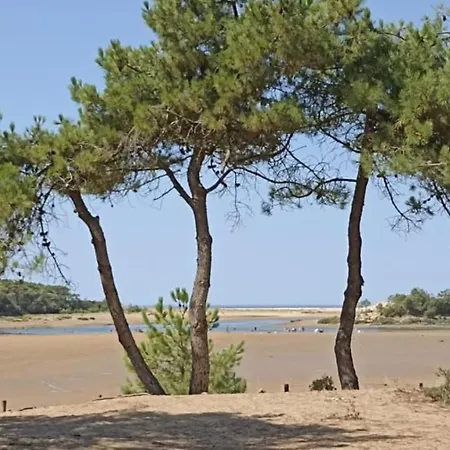 Le Clos De La Guittiere - 6 Personnes Holiday home Saint-Hilaire-de-Talmont