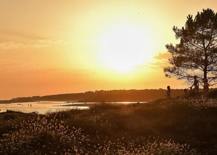 Le Clos De La Guittiere - 6 Personnes Hébergement de vacances Saint-Hilaire-de-Talmont