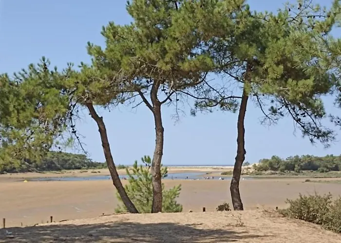 Le Clos De La Guittiere - 6 Personnes Hébergement de vacances Saint-Hilaire-de-Talmont